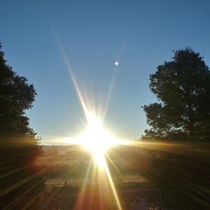 Meet your Posher, Elvis